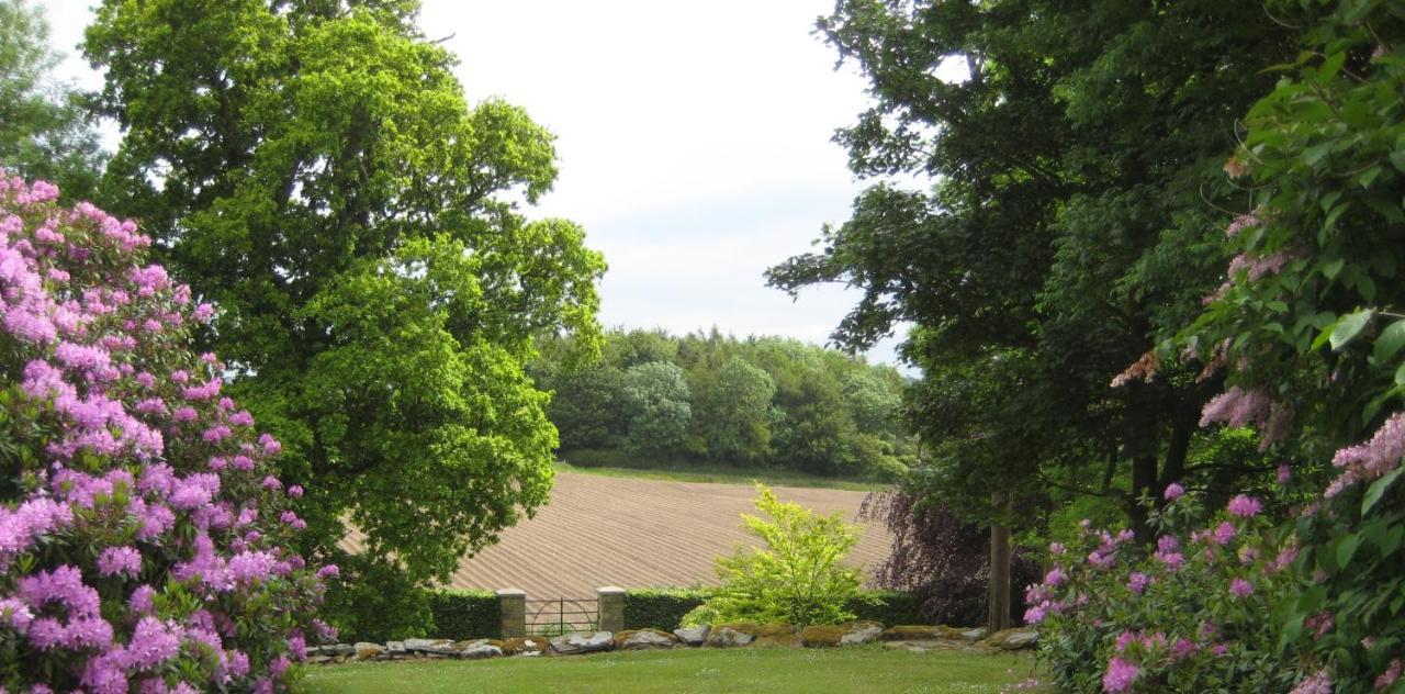 Ballydugan Country House Downpatrick Exteriör bild