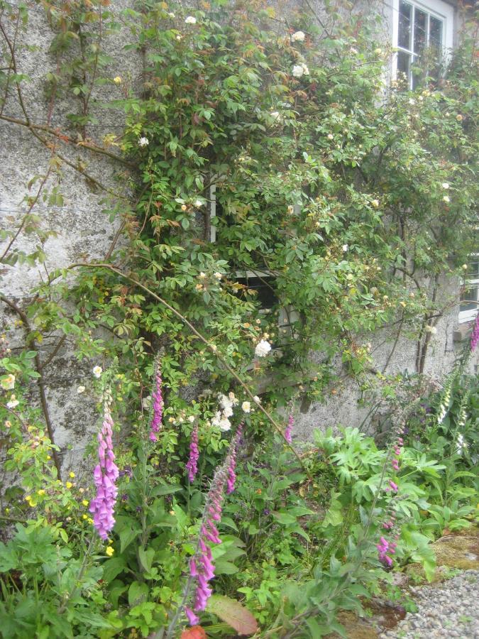 Ballydugan Country House Downpatrick Exteriör bild