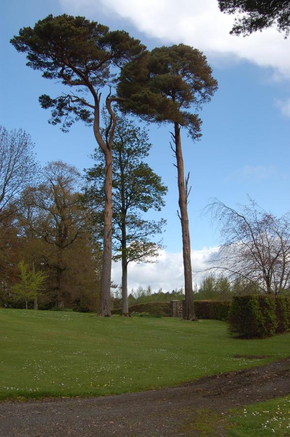 Ballydugan Country House Downpatrick Exteriör bild