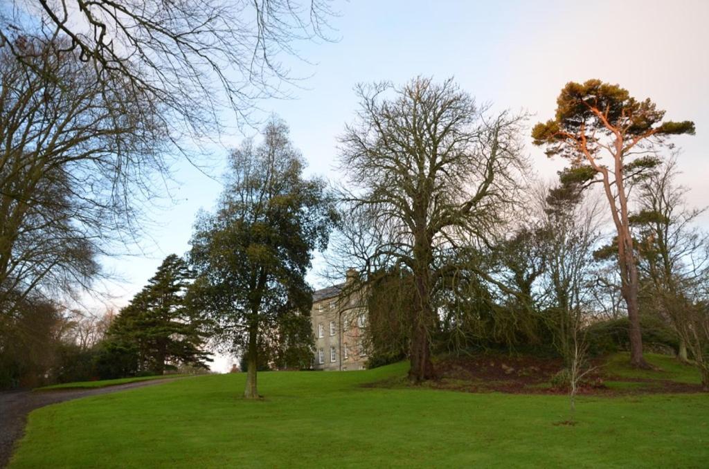 Ballydugan Country House Downpatrick Exteriör bild