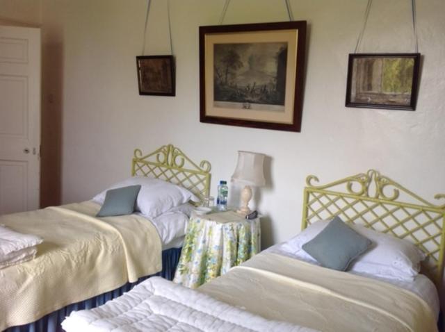 Ballydugan Country House Downpatrick Exteriör bild